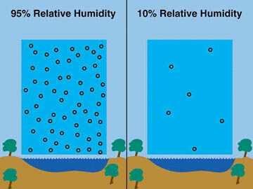 relative-humidity-image-9029158