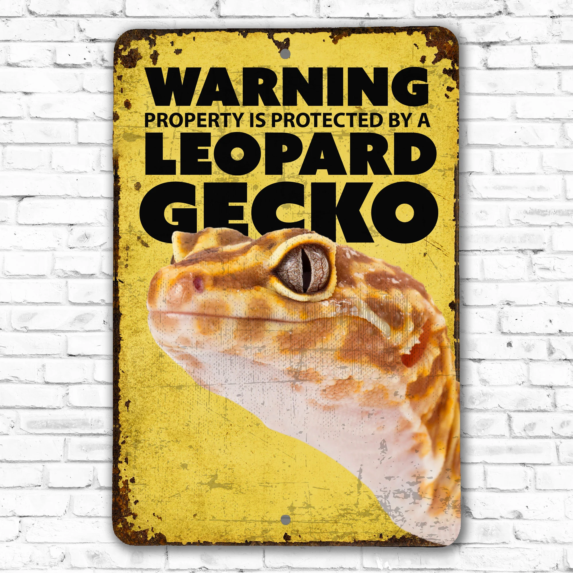 Leopard gecko soaking — warning signs
